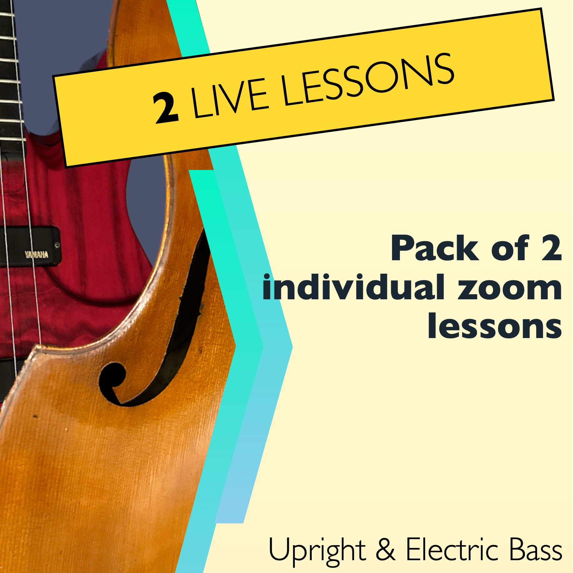 Pack of 2 individual zoom lessons