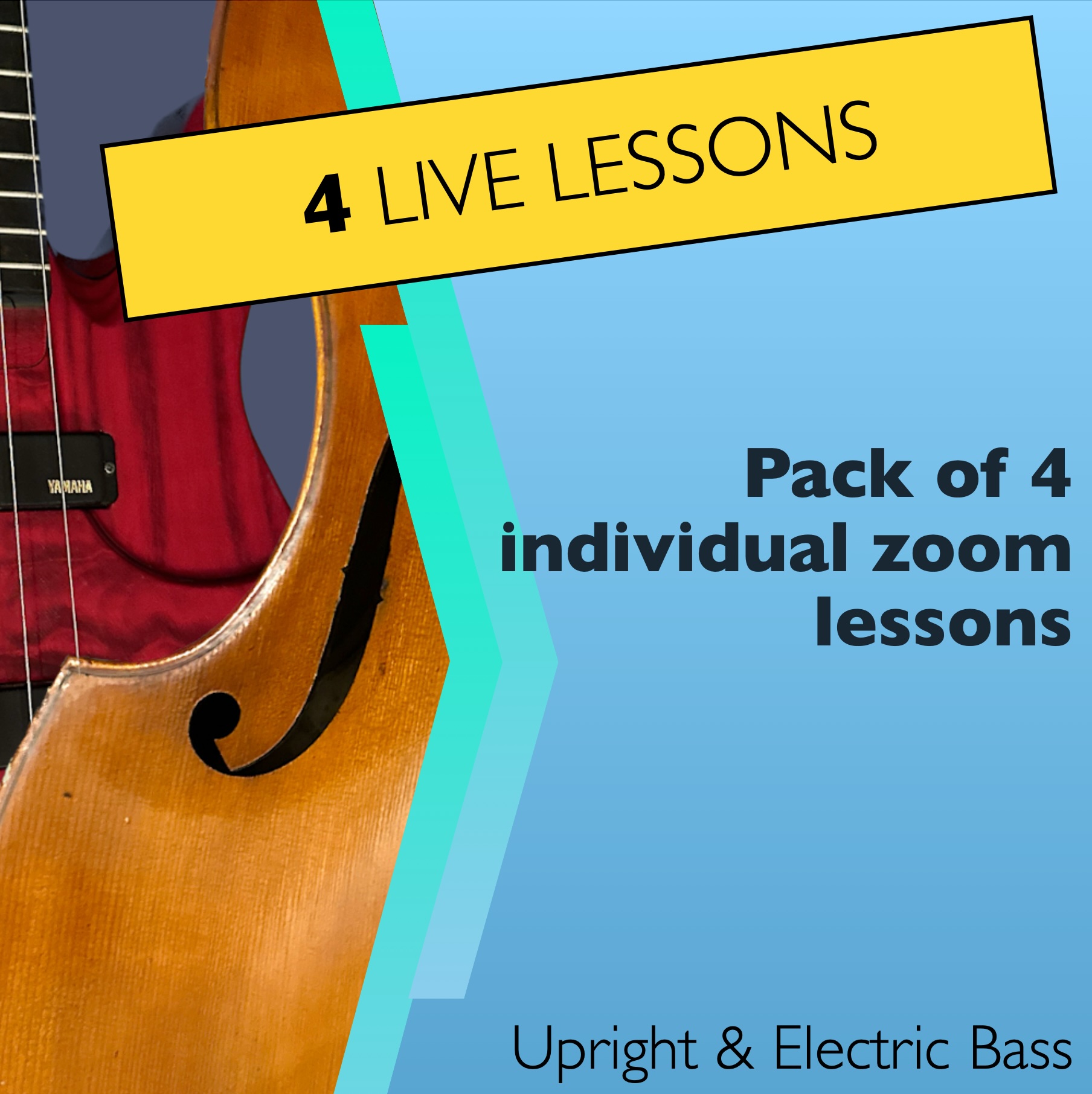 Pack of 4 individual zoom lessons