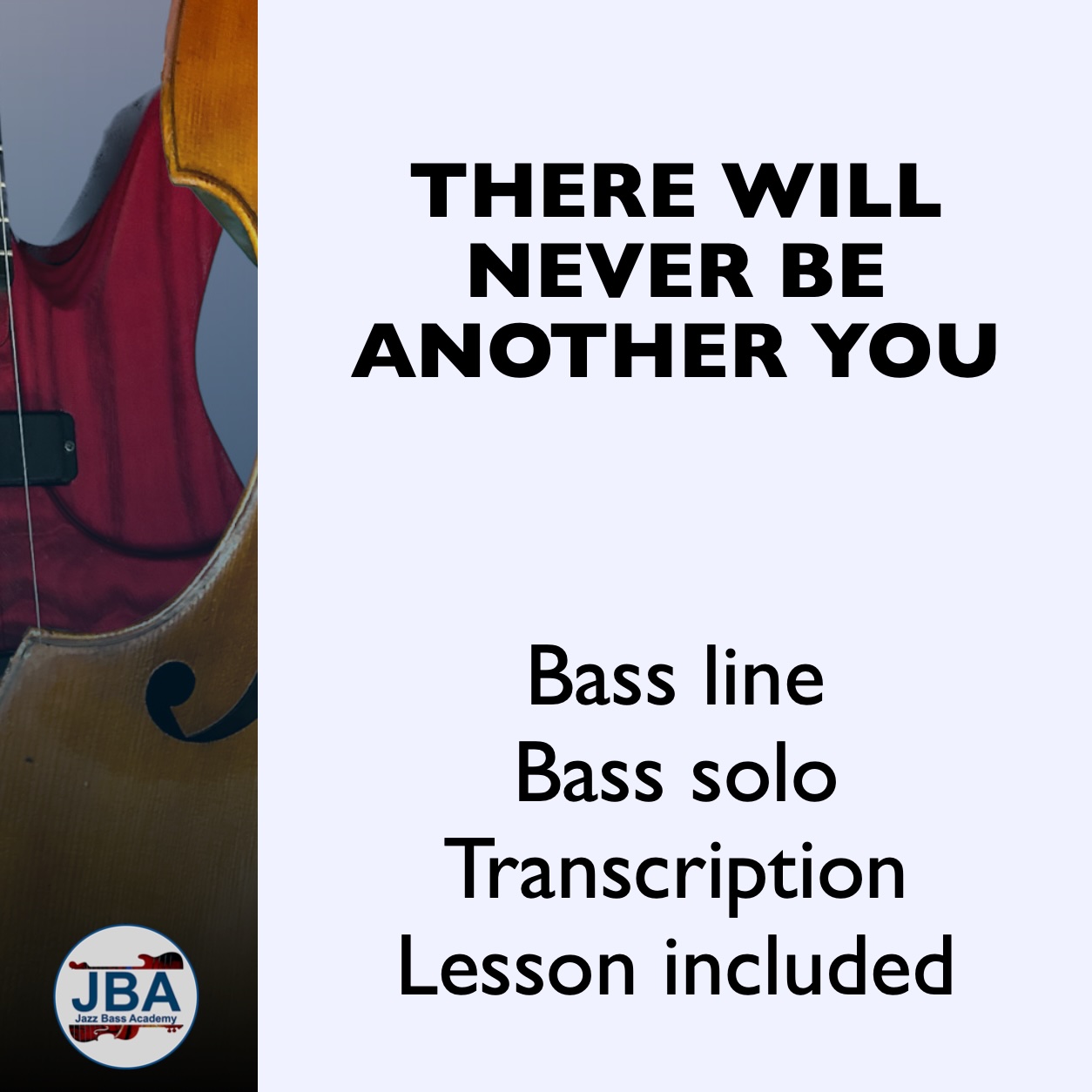 Play along video 04 - There Will Never Be Another You