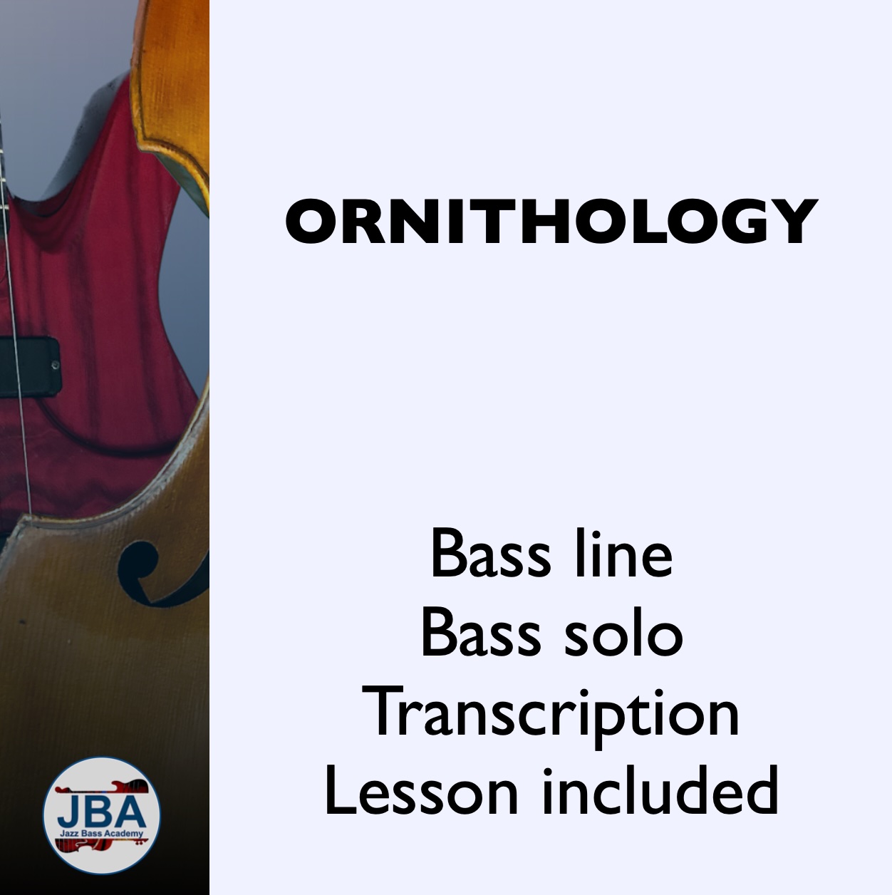 Play along video 23 - Ornithology