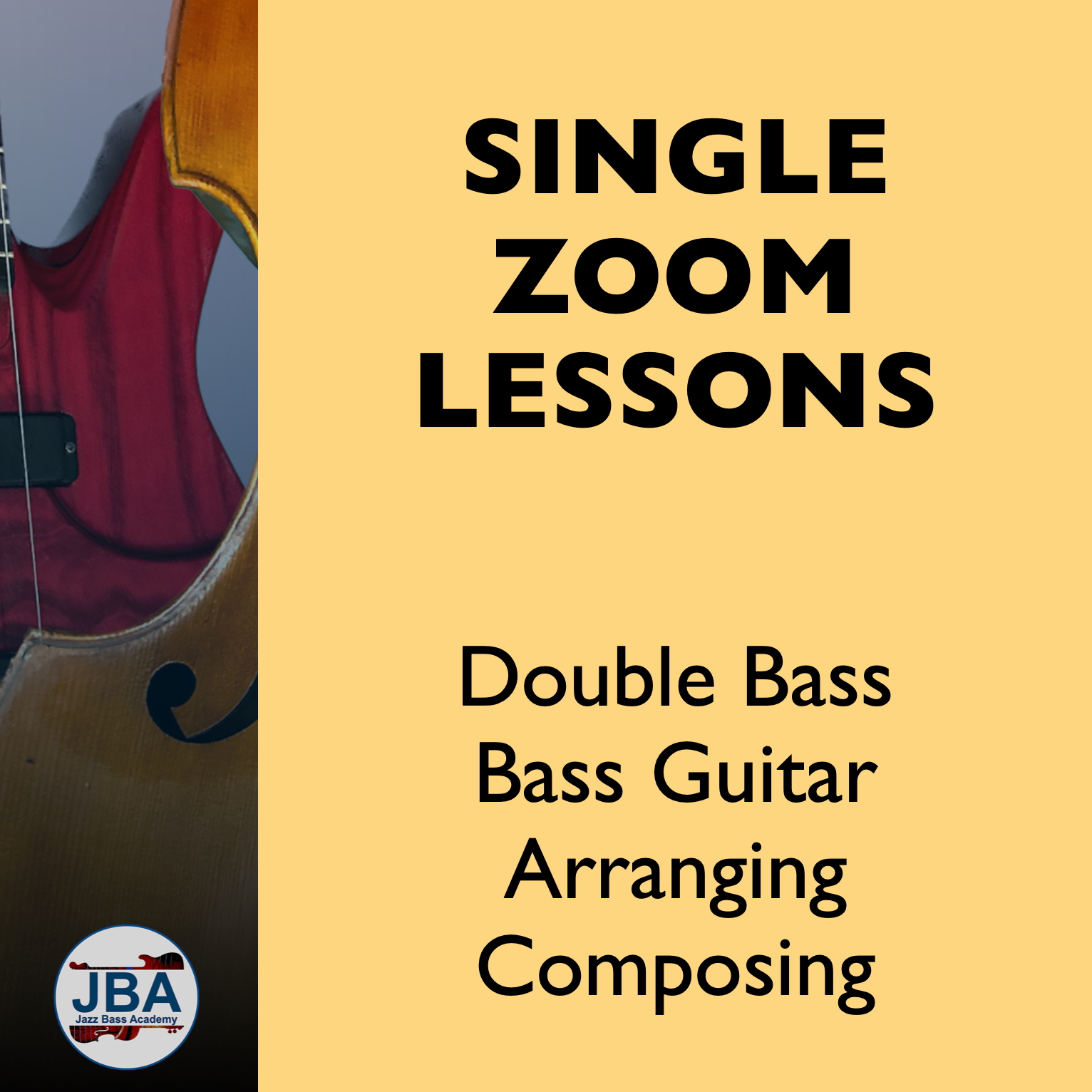 Single Zoom lesson