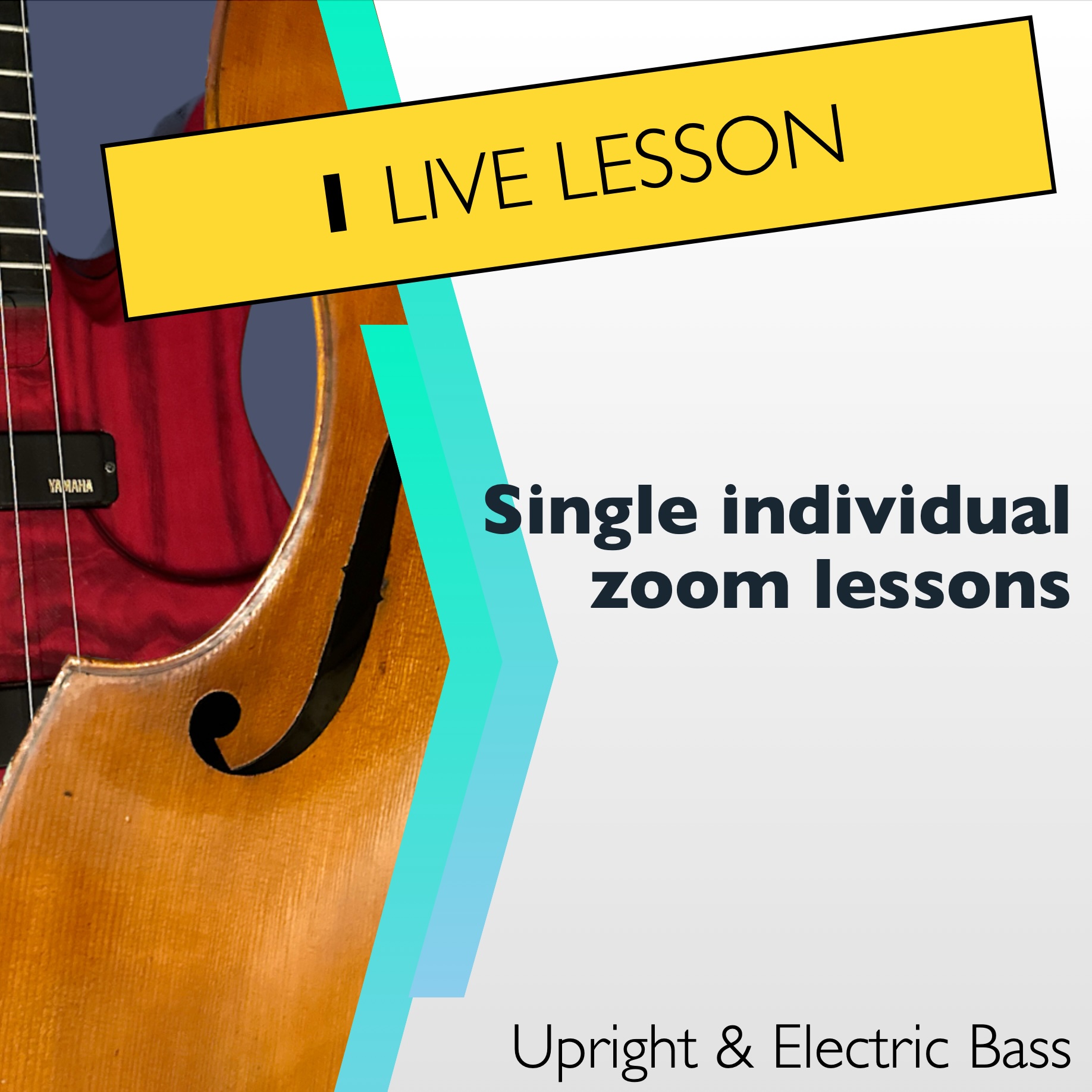 1 individual zoom lesson
